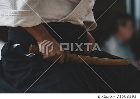 剣術の演武 71503393