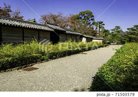 中宮寺 境内 奈良県生駒郡斑鳩町 中宮寺 境内 奈良県生駒郡斑鳩町 71503579