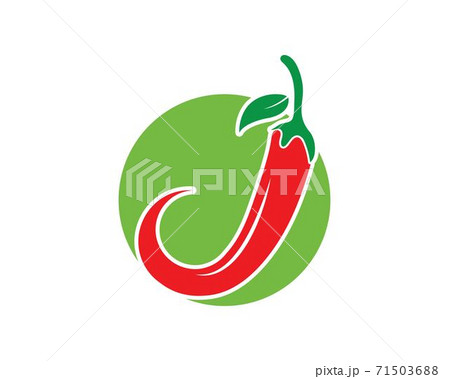 Chili logo vector template design 71503688