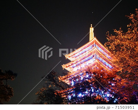 お寺のライトアップ 高幡不動 の写真素材