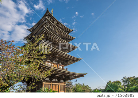 愛知県　名古屋市　覚王山日泰寺 71503985