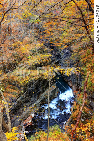 吾妻峡の秋 吾妻峡の秋 71504099