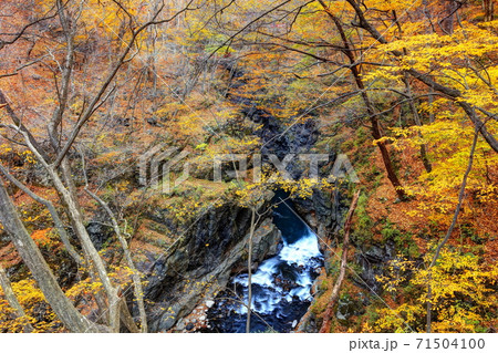 吾妻峡の秋 吾妻峡の秋 71504100