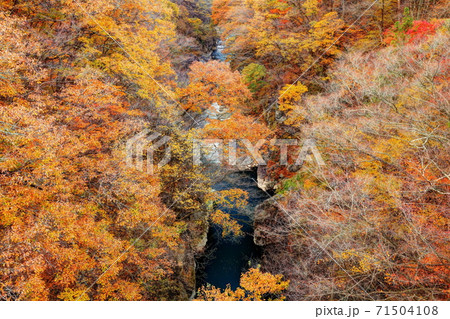 吾妻峡の秋 吾妻峡の秋 71504108