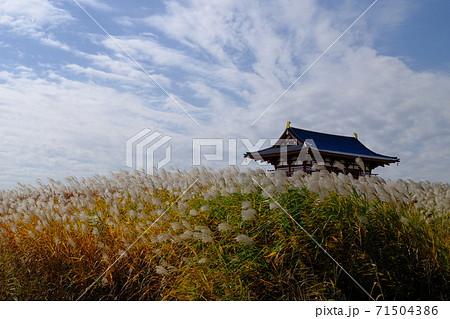 朱雀門とススキ（奈良県奈良市） 71504386