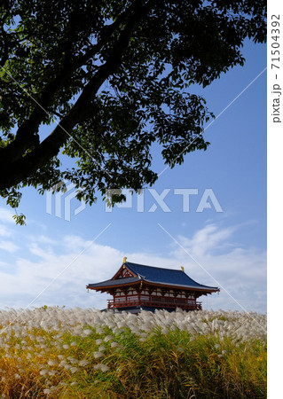 朱雀門とススキ（奈良県奈良市） 71504392