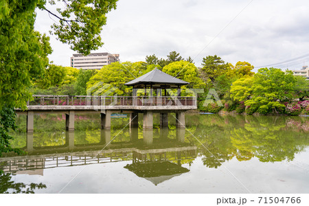 愛知・鶴舞公園散策 愛知・鶴舞公園散策 71504766