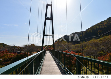 塩原の紅葉  #11 塩原の紅葉  #11 71504873