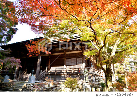 紅葉の施福寺本堂 紅葉の施福寺本堂 71504937