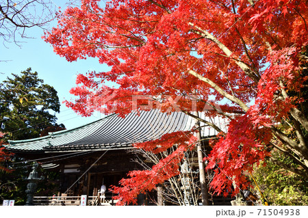 紅葉の施福寺本堂 71504938