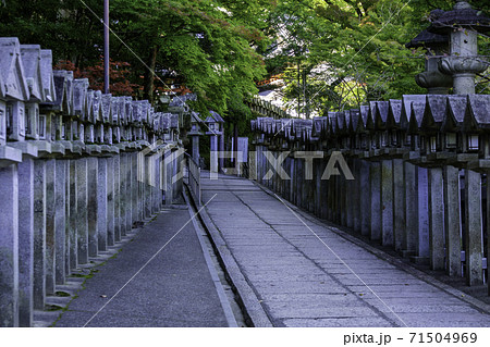 朝護孫子寺 境内 奈良県生駒郡平群町 朝護孫子寺 境内 奈良県生駒郡平群町 71504969