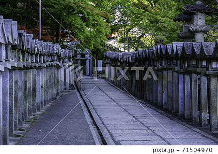 朝護孫子寺 境内 奈良県生駒郡平群町 朝護孫子寺 境内 奈良県生駒郡平群町 71504970