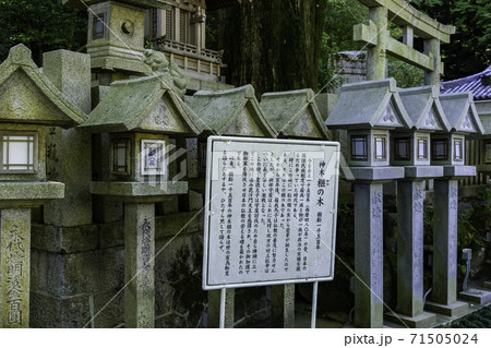 朝護孫子寺 かやの木稲荷 奈良県生駒郡平群町 朝護孫子寺 かやの木稲荷 奈良県生駒郡平群町 71505024