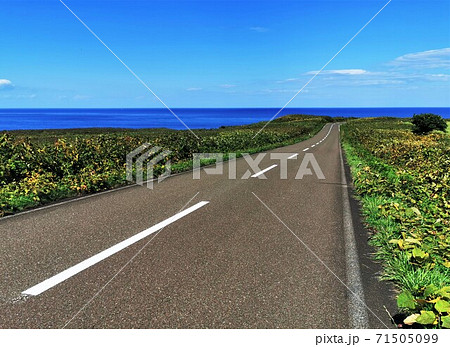 岬へと続く道(北海道網走市・能取岬) 岬へと続く道(北海道網走市・能取岬) 71505099