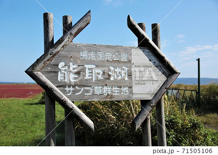 能取湖・サンゴ草群生地（北海道網走市卯原内） 71505106