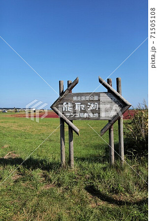 能取湖・サンゴ草群生地（北海道網走市卯原内） 71505108