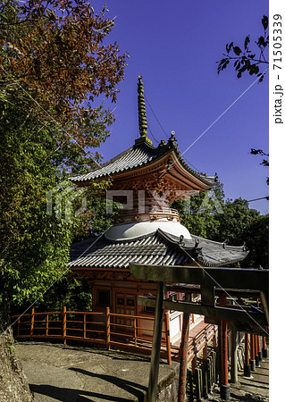 朝護孫子寺　多宝塔　奈良県生駒郡平群町 71505339