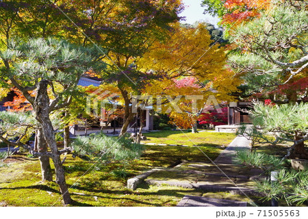 長寿寺 71505563