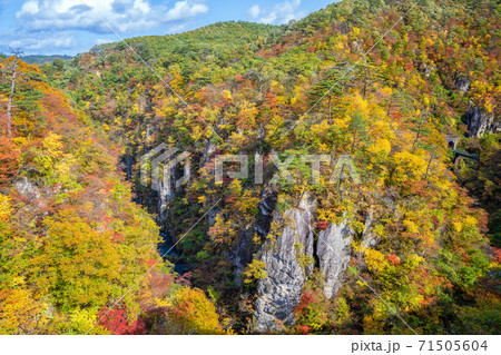 紅葉の鳴子峡 紅葉の鳴子峡 71505604
