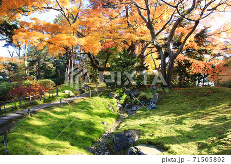 秋の御薬園・枯沢（福島県・会津若松市） 71505892
