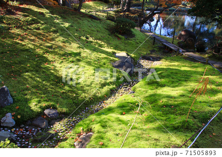 秋の御薬園・枯沢（福島県・会津若松市） 71505893