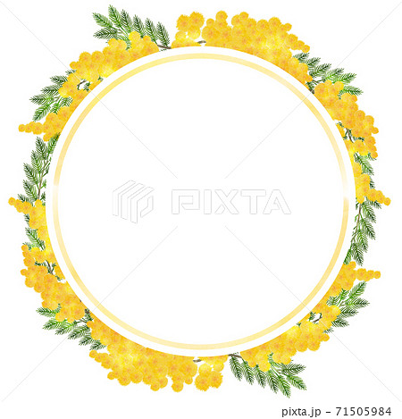 ミモザのリース　水彩イラスト 71505984