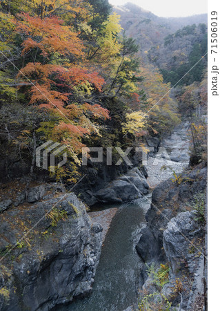 中津川と紅葉/埼玉県秩父市(秩父多摩甲斐国立公園) 中津川と紅葉/埼玉県秩父市(秩父多摩甲斐国立公園) 71506019