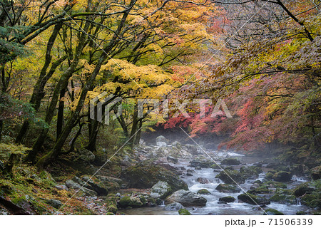 紅葉の綺麗な秋の渓谷の風景 愛媛県の小田深山渓谷で撮影 石鎚国立公園 の写真素材