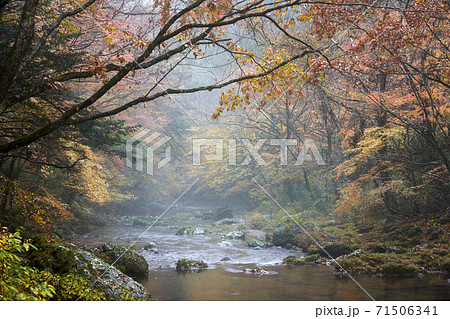 紅葉の綺麗な秋の渓谷の風景 愛媛県の小田深山渓谷で撮影 石鎚国立公園 の写真素材