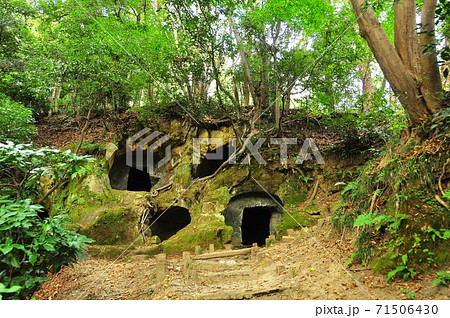 湘南平（高麗山公園）ハイキングコース　高麗山県民の森の横穴群 71506430