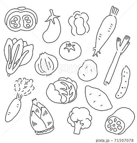 野菜イラストセット 線画 のイラスト素材