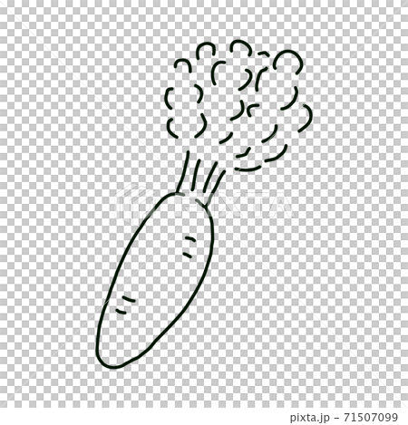 にんじん(線画) 71507099