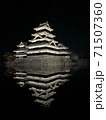 不夜城 71507360