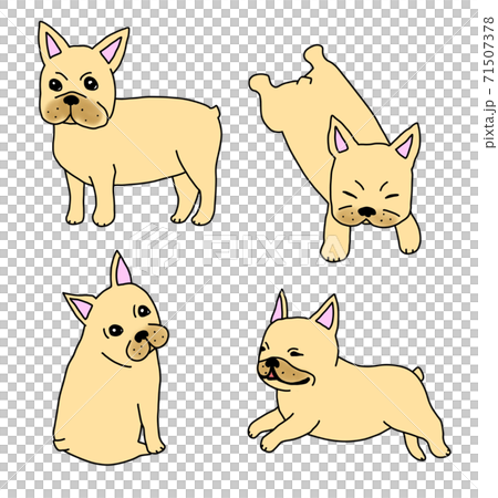French bulldog in 4 poses 71507378