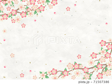 満開の桜と和紙の背景素材 ベクターイラストフレーム 横のイラスト素材