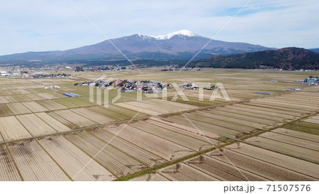 冠雪の鳥海山と稲刈り後の水田 71507576