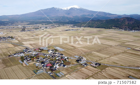 冠雪の鳥海山と稲刈り後の水田 71507582