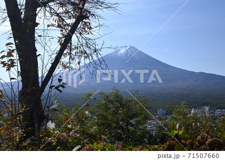 富士山見晴らしカチカチ山 富士山見晴らしカチカチ山 71507660