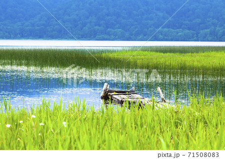 静寂に包まれる早朝の尾瀬沼 71508083
