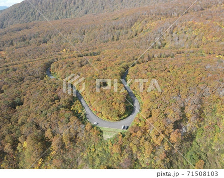紅葉の鶴間池(鳥海山) 71508103