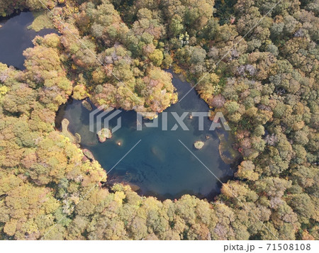 紅葉の鶴間池(鳥海山) 71508108