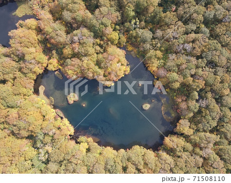 紅葉の鶴間池(鳥海山) 71508110