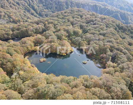 紅葉の鶴間池(鳥海山) 71508111