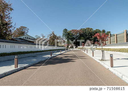 白壁塀が煌めく水戸学の道【秋季】 白壁塀が煌めく水戸学の道【秋季】 71508615