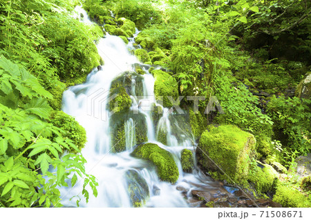 緑あふれる撫坂の清水 71508671