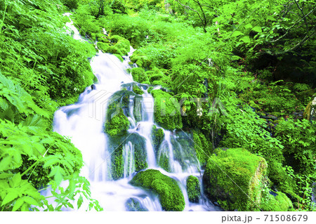 緑あふれる撫坂の清水 71508679