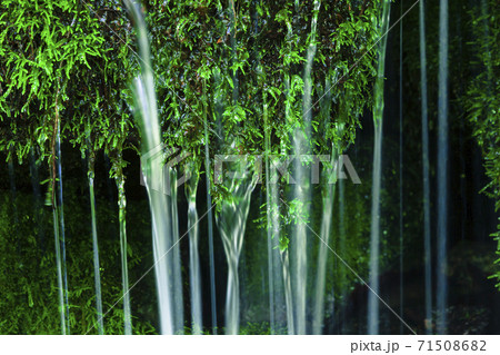 緑あふれる撫坂の清水 緑あふれる撫坂の清水 71508682