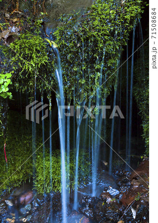 緑あふれる撫坂の清水 71508684