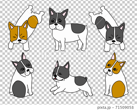法國鬥牛犬材料構成的4個姿勢 71509058