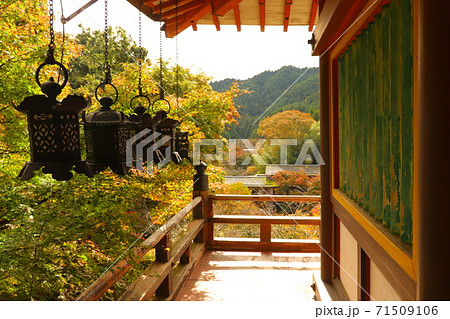 奈良県  談山神社  並ぶ拝殿の燈篭 71509106